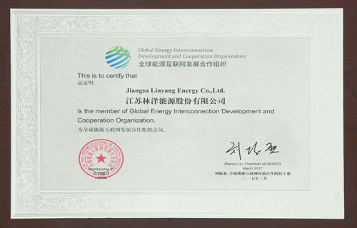 全球能源互联网生长相助组织会员